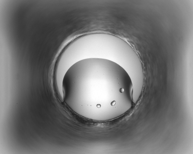 X0000095680056200802051300