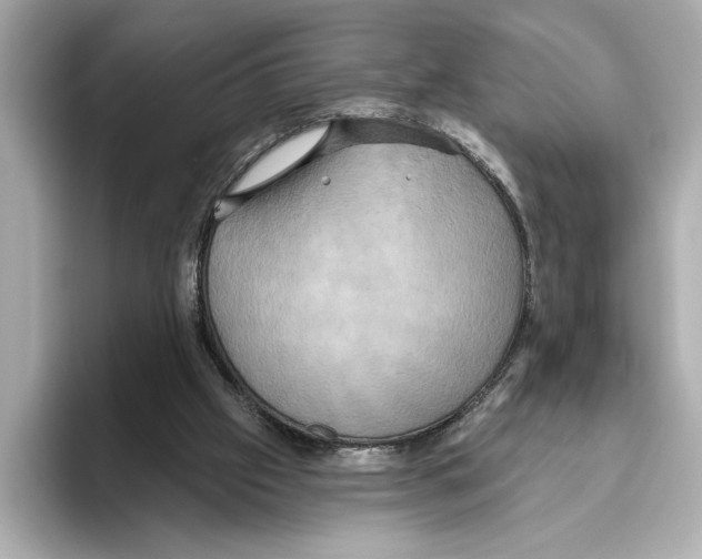 X0000095680057200802051300