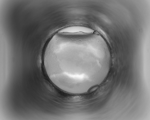 X0000095680059200802051300