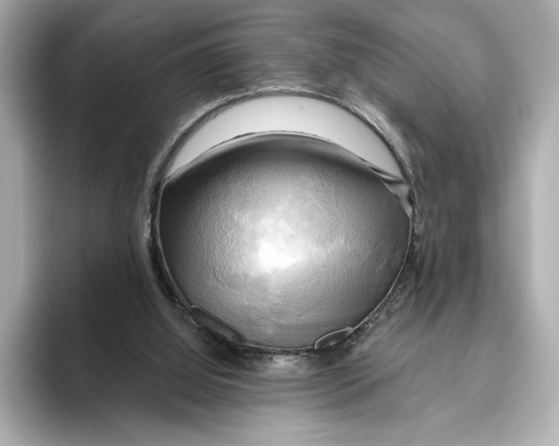 X0000095680060200802051300