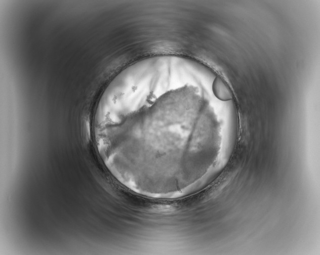 X0000095680061200802051300