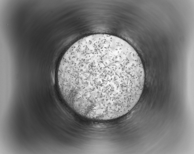 X0000095680062200802051300