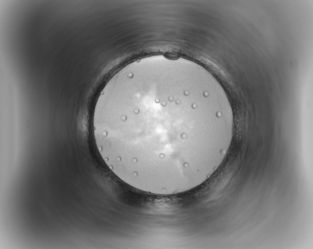 X0000095680064200802051300