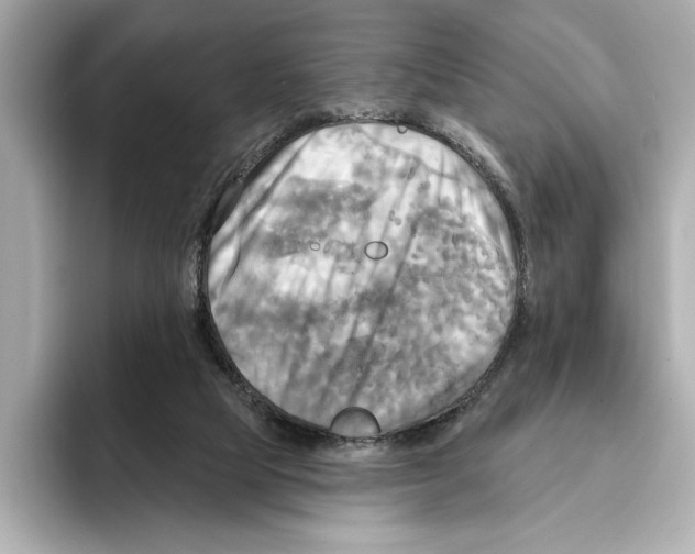 X0000095680065200802051300