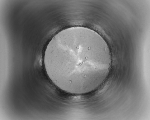 X0000095680068200802051300