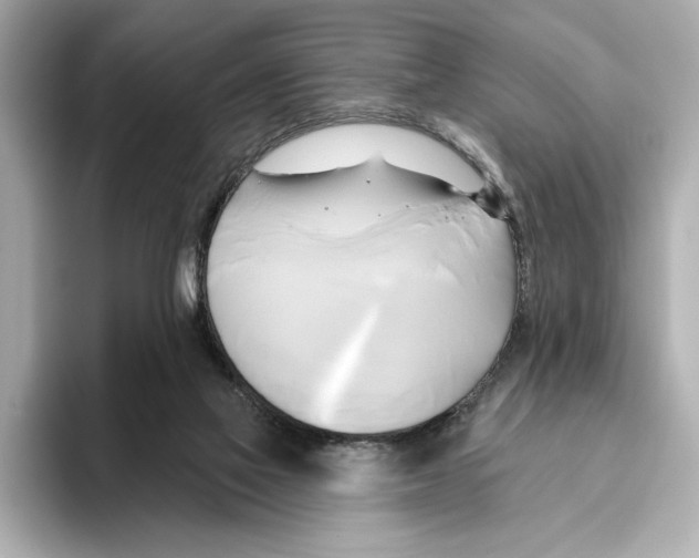 X0000095680069200802051300