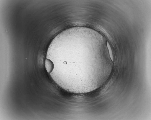 X0000095680071200802051300