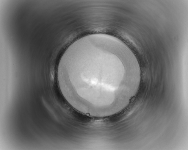 X0000095680072200802051300