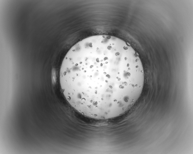 X0000095680075200802051300