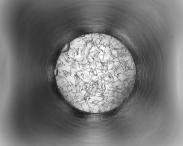 X0000095680077200802051300