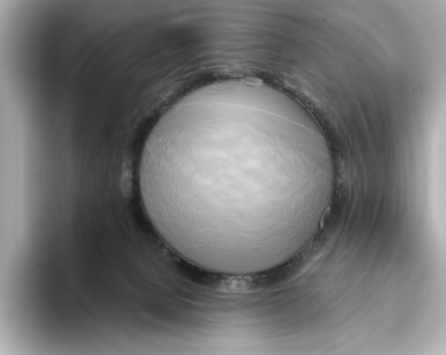 X0000095680080200802051300