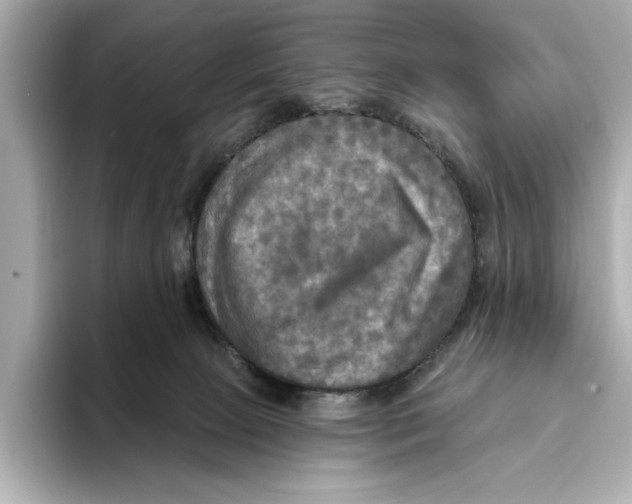 X0000095680081200802051300