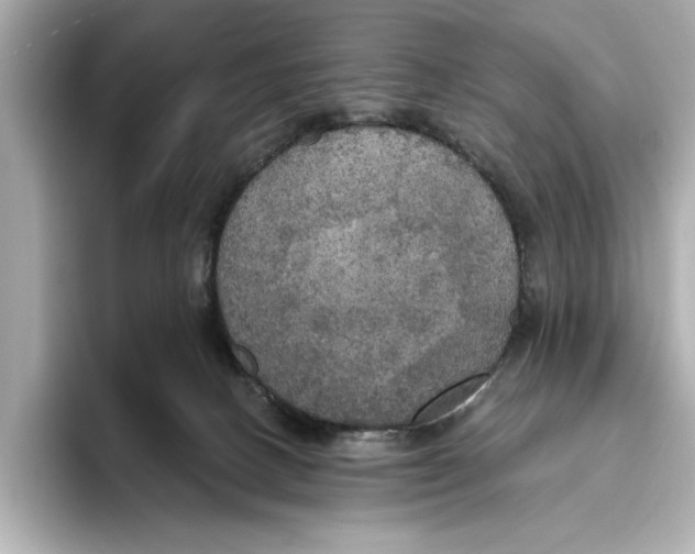 X0000095680082200802051300