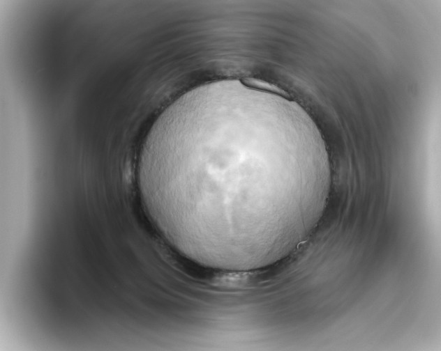 X0000095680084200802051300