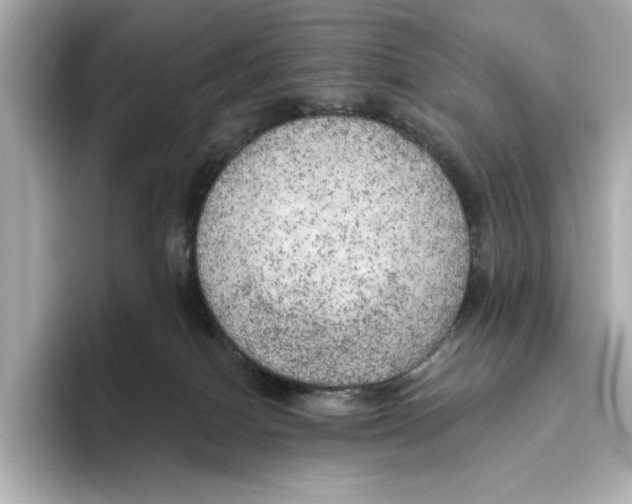 X0000095680086200802051300