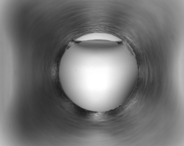 X0000095680092200802051301