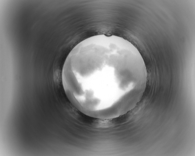 X0000095680093200802051301