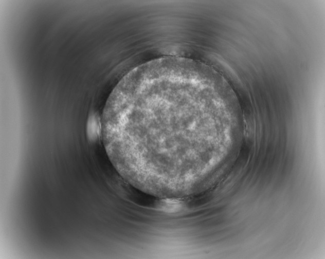 X0000095680095200802051301