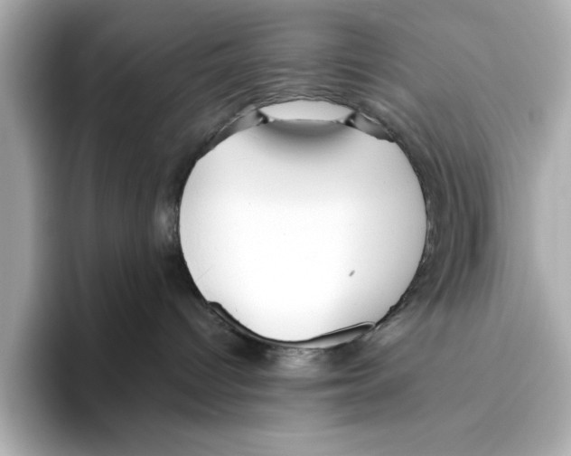 X0000095680096200802051301