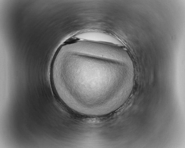 X0000095680100200802051300