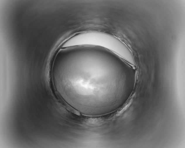 X0000095680101200802051300