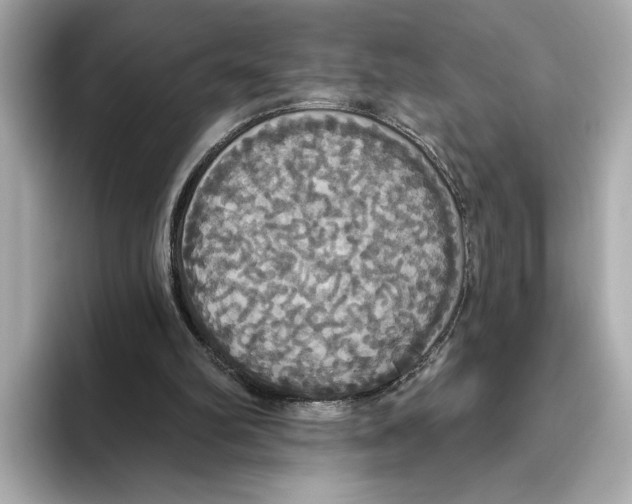 X0000095680102200802051300