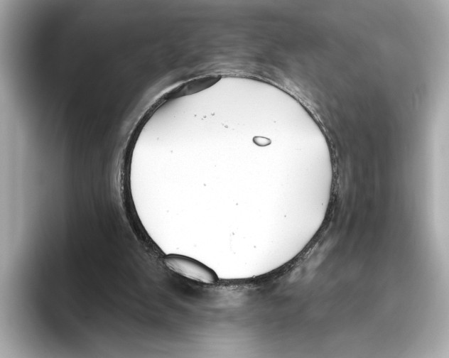 X0000095680103200802051300