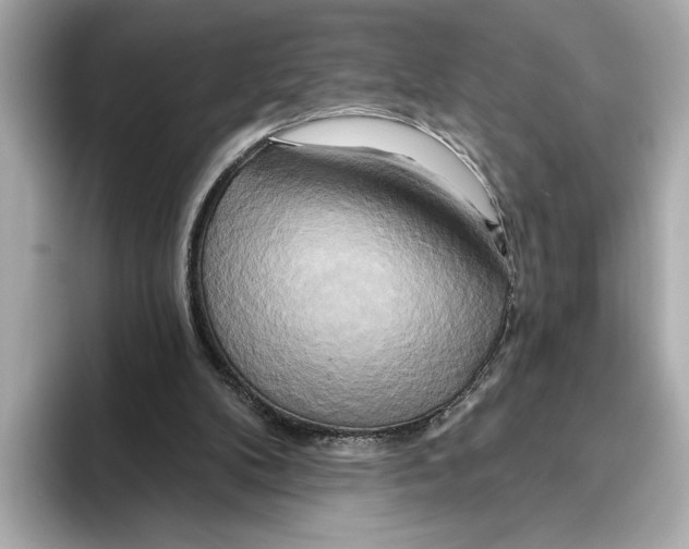 X0000095680104200802051300