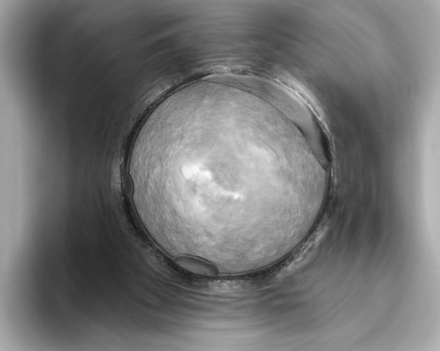 X0000095680105200802051300