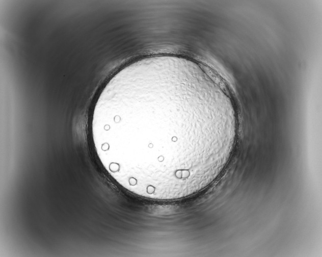 X0000095680107200802051300