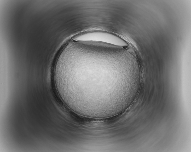 X0000095680108200802051300