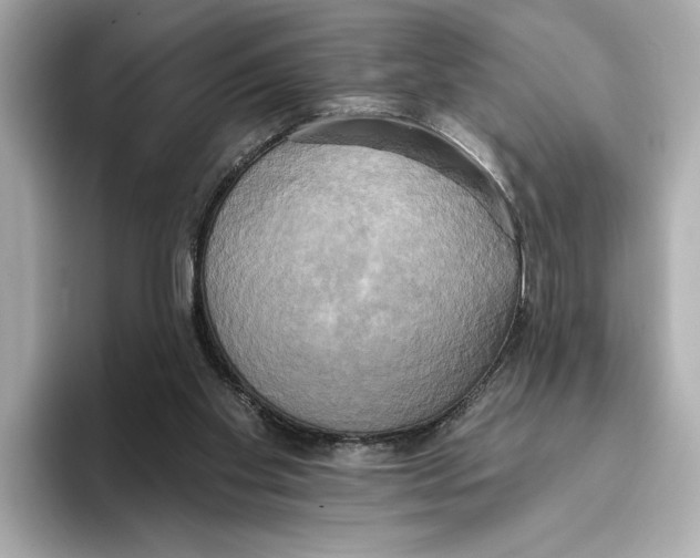 X0000095680109200802051300