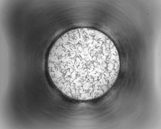 X0000095680111200802051300