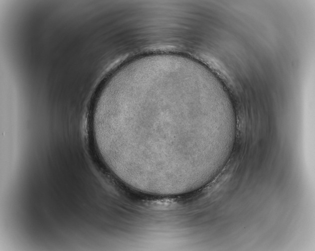 X0000095680112200802051300