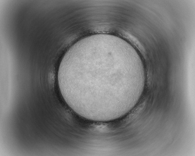 X0000095680113200802051300