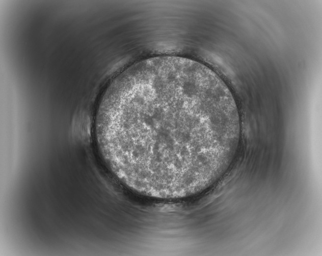 X0000095680115200802051300