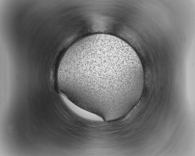 X0000095680116200802051300