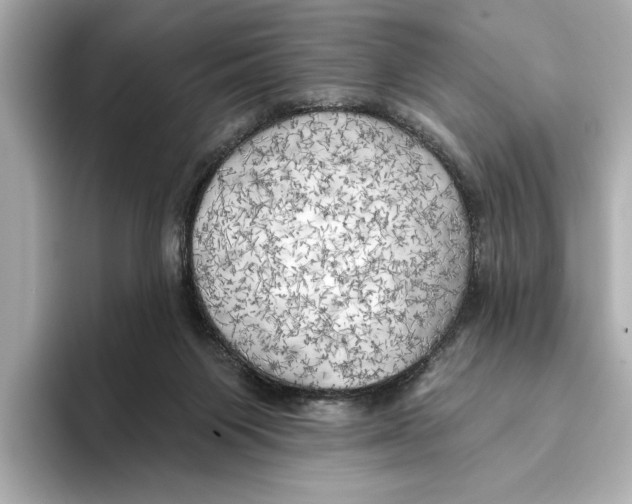 X0000095680119200802051300
