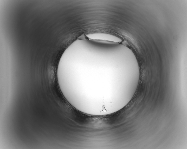 X0000095680121200802051300