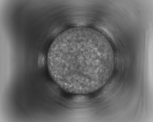 X0000095680123200802051300