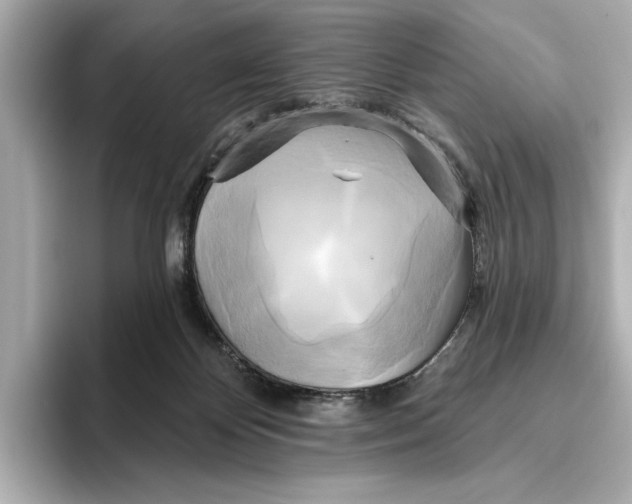 X0000095680124200802051300