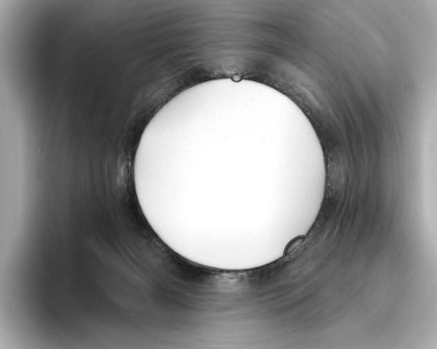 X0000095680126200802051300