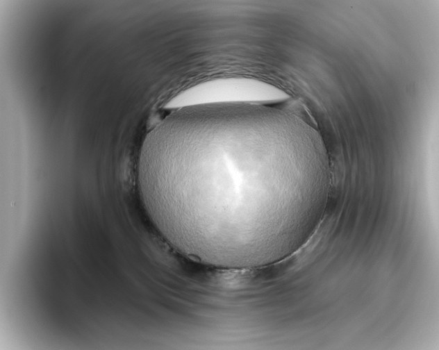 X0000095680136200802051259