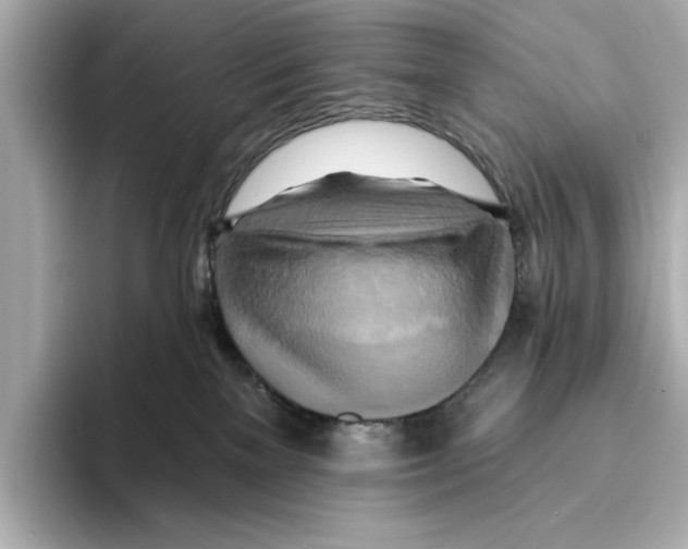 X0000095680137200802051259