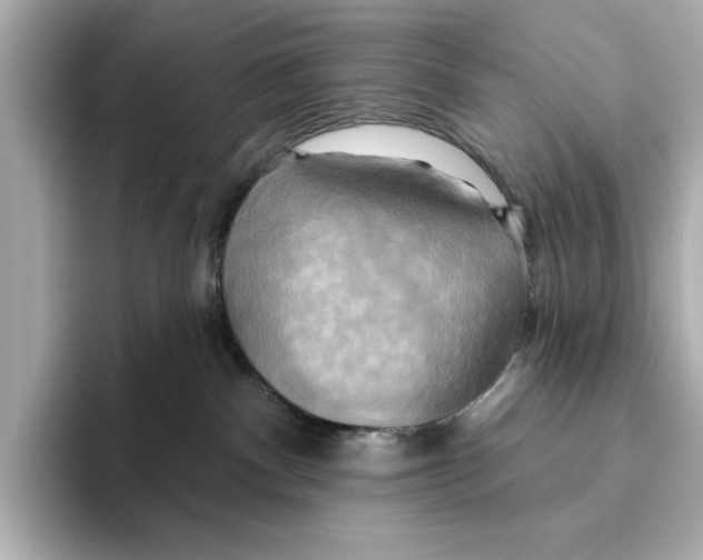 X0000095680140200802051259