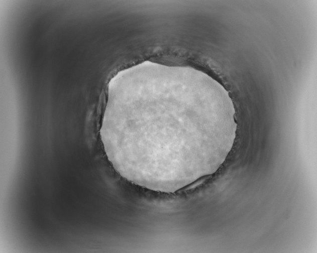 X0000095680144200802051259