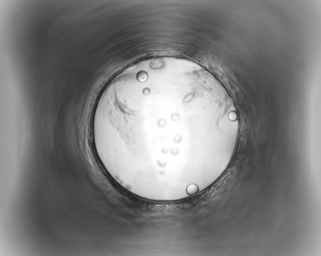 X0000095680145200802051259