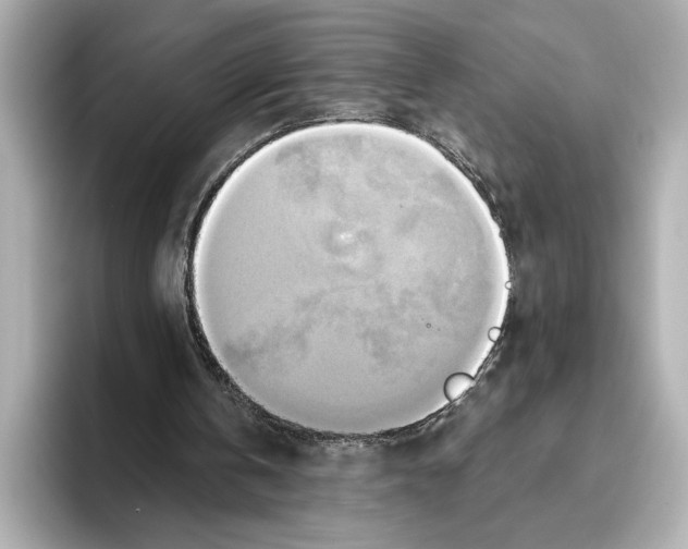 X0000095680146200802051259