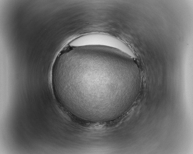 X0000095680148200802051259