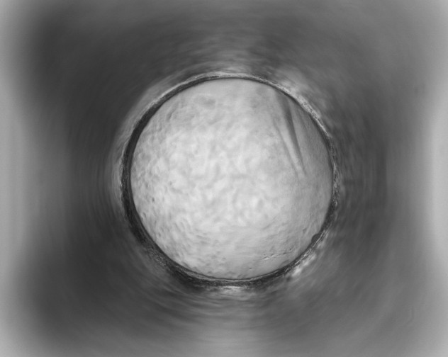 X0000095680151200802051259